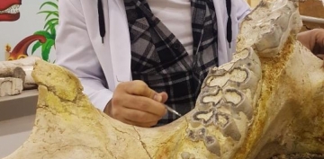 Kayseri'de 3 ylda bine yakn fosil bulundu