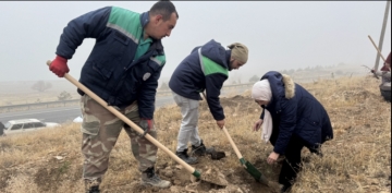 BÜYÜKŞEHİR, AĞAÇLANDIRMA ÇALIŞMALARINA 1200 FİDANLA YAHYALI’DA DEVAM ETTİ