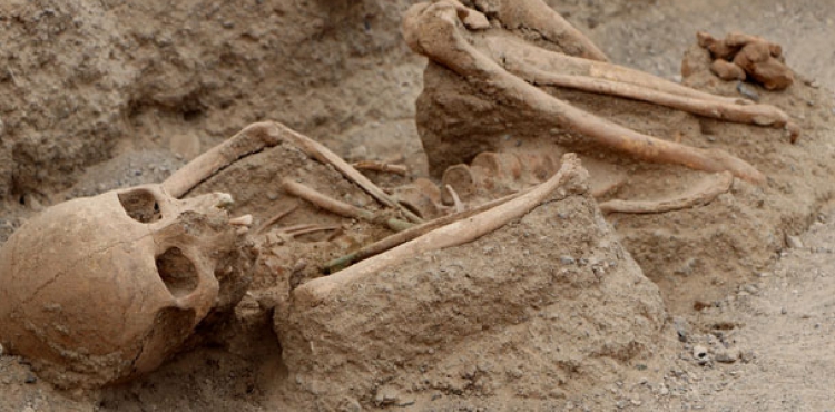 Urartular'a ait 2 bin 750 yllk nekropoldeki iskeletlerde rk di kmad