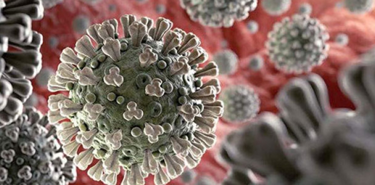 Mutasyon panii Gney Afrika'ya srad: Farkl bir koronavirs ortaya kt