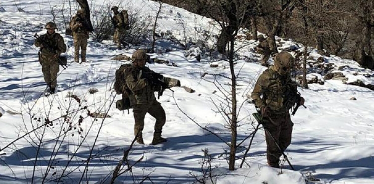 Bitlis ve Siirt'te 'Eren-11 Sehi Ormanlar' operasyonu balatld