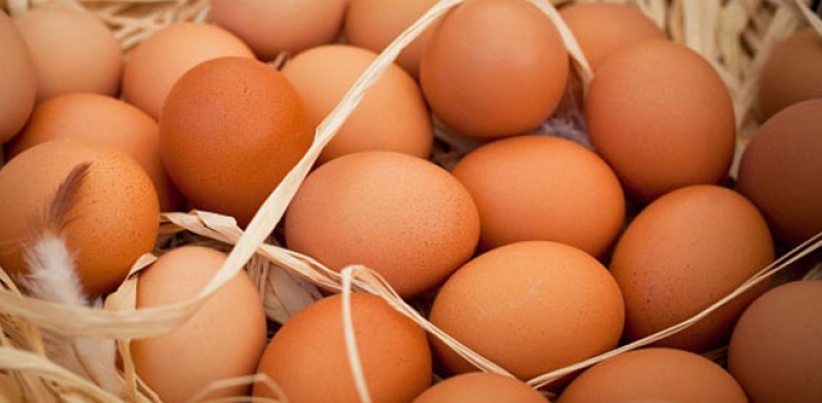 Organik yumurtay ayrt etme yollar