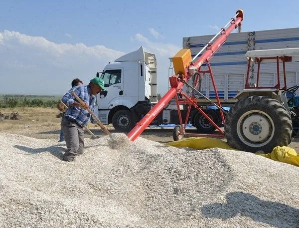 Kayseri Şeker Ayçekirdeği Baş Fiyatını Açıkladı