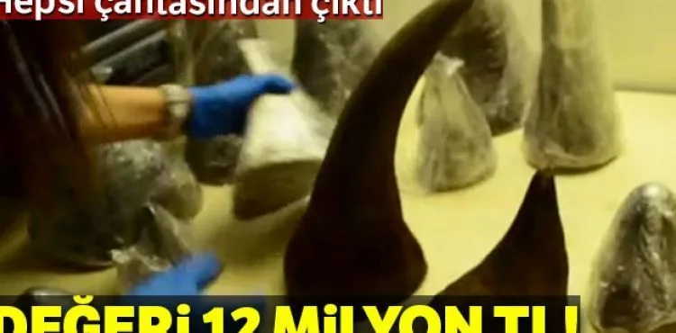 Atatürk Havalimanı'nda 12 milyon TL değerinde gergedan boynuzu operasyonu
