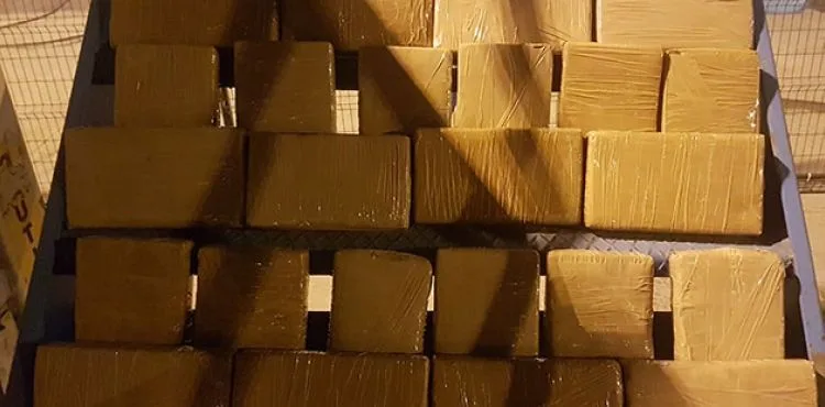 Muz yüklü dediler 16 milyon değerinde kokain çıktı