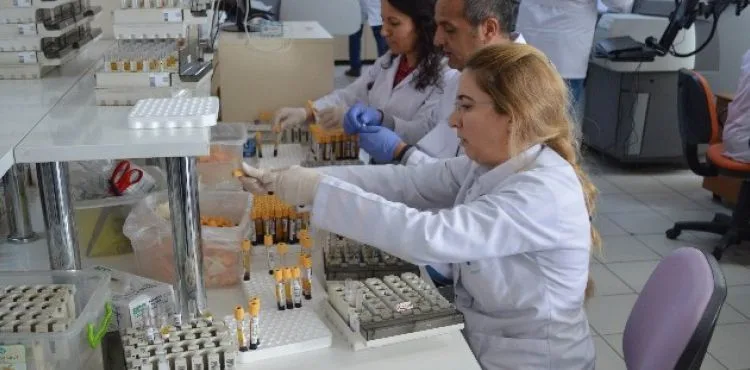 Kayseri Aile Hekimliği Sisteminde Yapılan Laboratuvar Tahlil Sonuçları Türkiye'de İlk Kez Uygulanan Bir Çalışma İle Artık Cepte