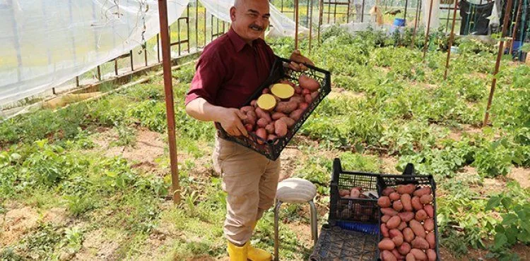 Annesi için ekti, fiyatı ve ilgiyi görünce üretime yöneldi