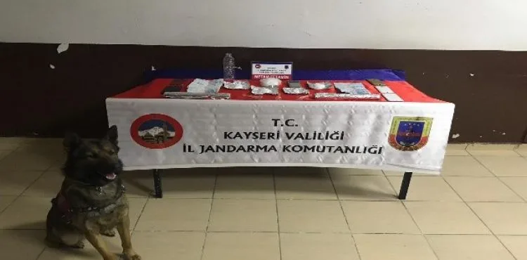 Jandarmadan uyuşturucu operasyonu