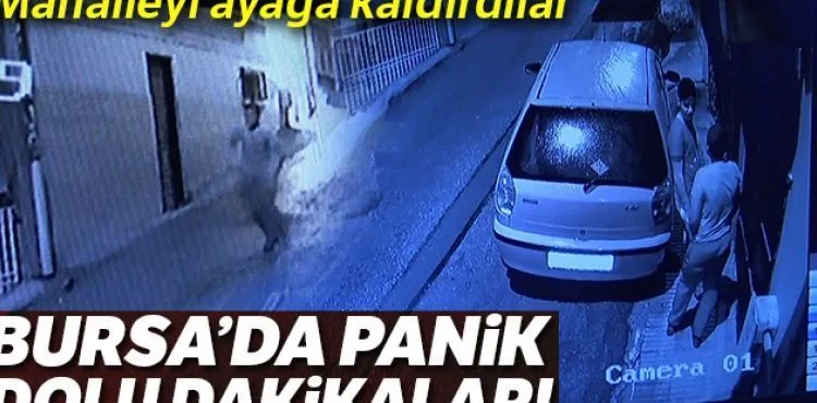 Gençler böyle torpil patlattı, kısa süreli panik yaşandı