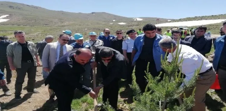 Vali Günaydın, "Kayseri'nin Orman Varlıklarının Durumu İç Açıcı Değil"