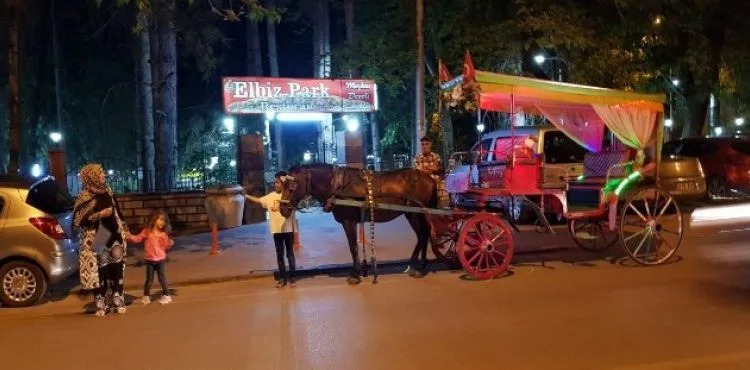 Develi'de fayton turu başladı