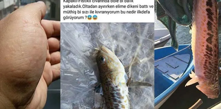 Olta balıkçıları dikkat