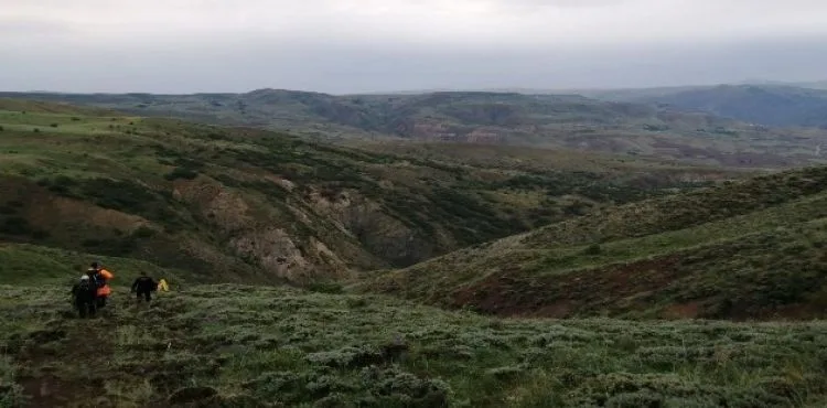 Uçuruma yuvarlanan inek itfaiye tarafından kurtarıldı