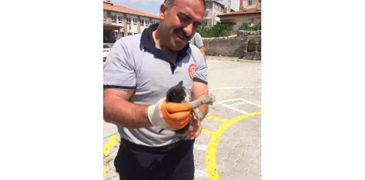 Aracın motor kısmına giren kedi itfaiye ekipleri tarafından çıkarıldı