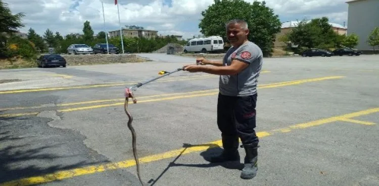 Bodruma giren yılan itfaiye ekiplerince çıkarıldı
