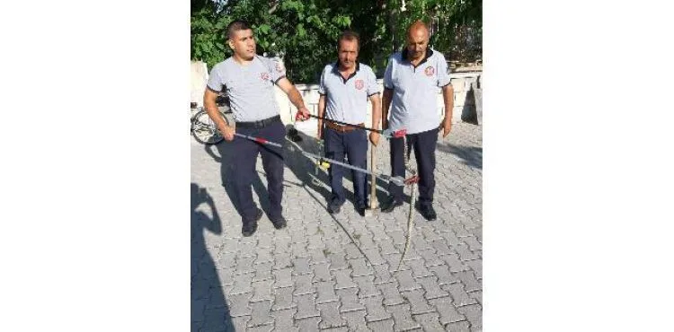 Develi'de itfaiye ekiplerinin 'Yılan' mesaisi