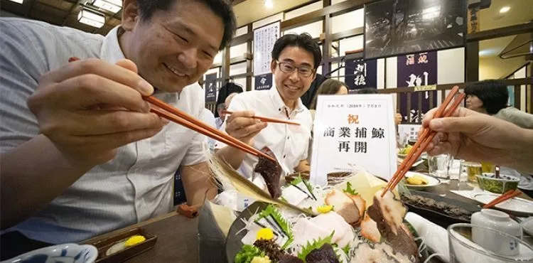 Japonya protestolara rağmen balina avcılığına devam edecek