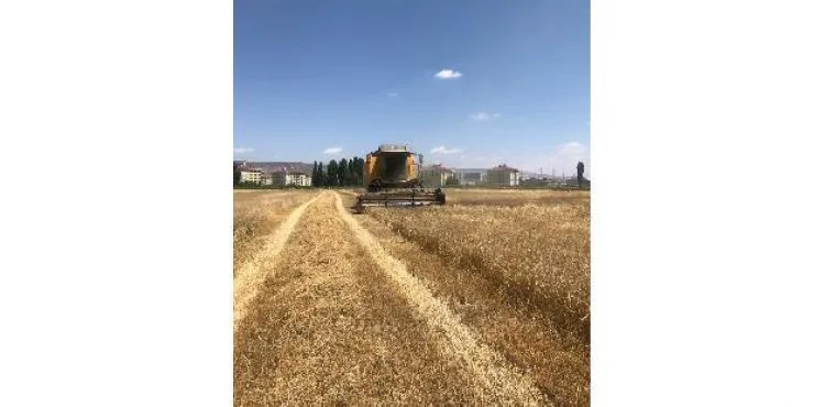 Kayseri Şeker, yem bitkileri temini için bölge çiftçilerinin gelirine 11 milyon TL katkı sağlıyor