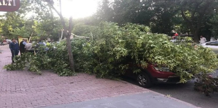 Kayseri'de Kapuzbaşı Şelaleleri'ne giden yol aşırı yağıştan kapandı