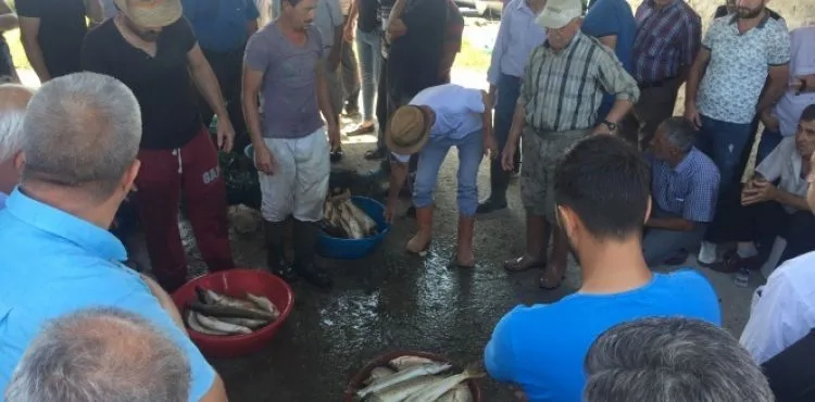 Tarihi eser için değil, taze balıklar için el kaldırıyorlar