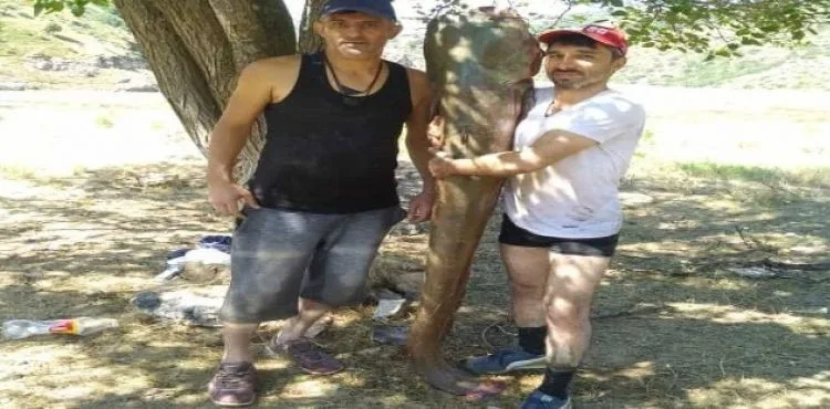 63 kiloluk dev yayın balığını olta ile yakaladılar