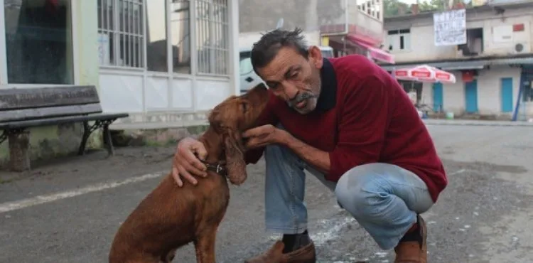 Selde kaybolan köpeği yüzerek geldi, sevince boğuldu