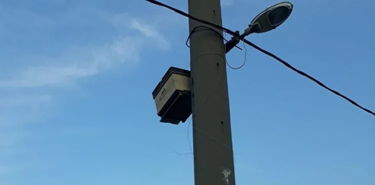 Elektrik direğine sabitlenen arı kovanı