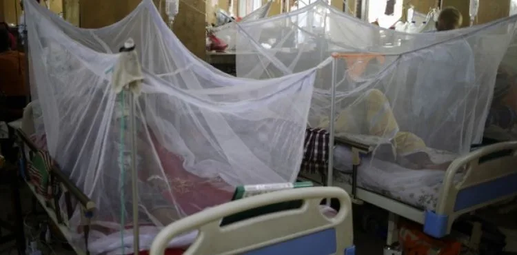 Honduras'ta 54 kişi Dang hummasından öldü