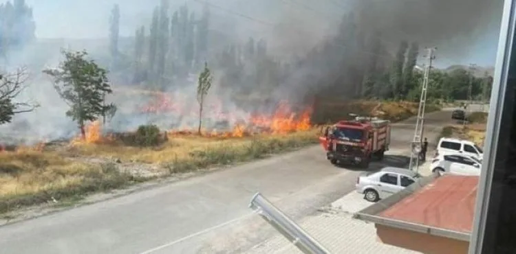 Develi'de bağ yangını