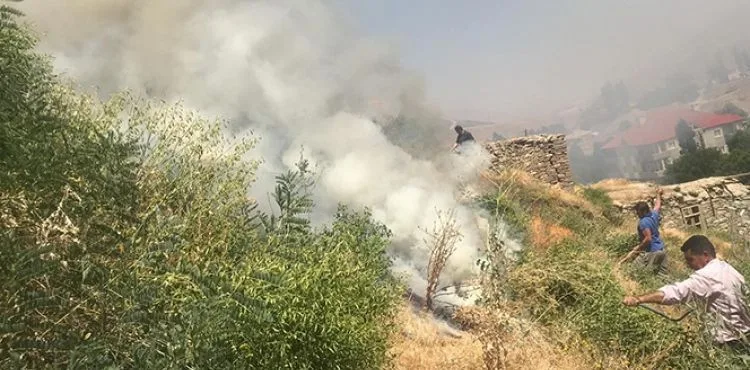 İran sınırında korkutan yangın