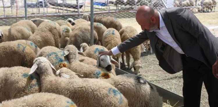 KOCASİNAN BELEDİYESİ’NDEN BAYRAM ÖNCESİ HİZMET SEFERBERLİĞİ