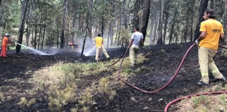 Orman yangını büyümeden söndürüldü!