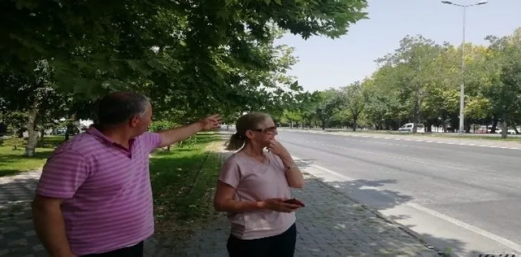 Mahallelinin ‘Kaza' isyanı