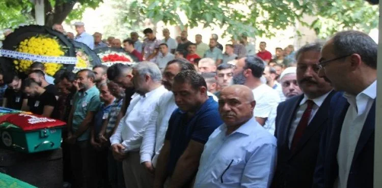 Büyüknalbant ailesinin acı günü