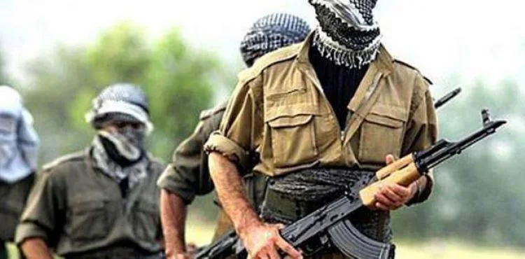 İçişleri Bakanlığı: '12 terörist etkisiz hale getirildi'