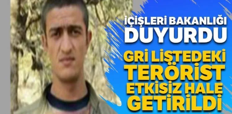 MİT-Jandarma ortak operasyonuyla Gri Liste'deki terörist öldürüldü