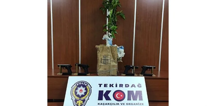 Saksıda kaçak silah