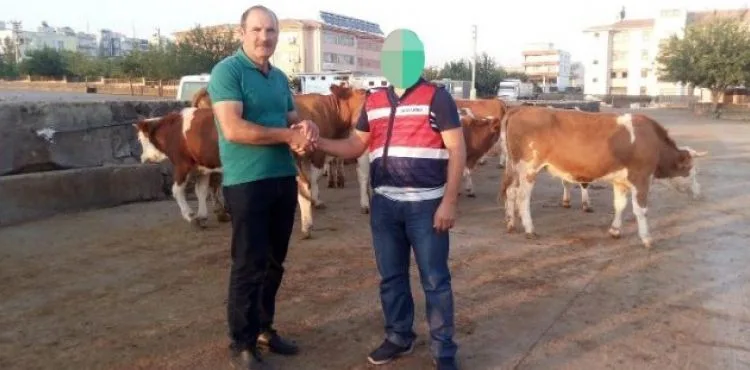 Jandarma ekipleri besicinin 20 yıllık birikimini kurtardı