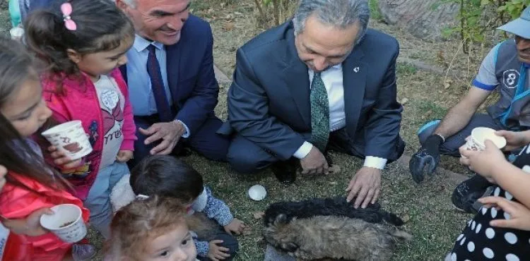 Talas Belediyesi'nden Hayvanları Koruma Günü etkinliği