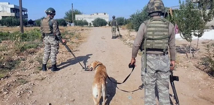 YPG/PKK'lı teröristlerden TSK unsurlarına taciz ateşi