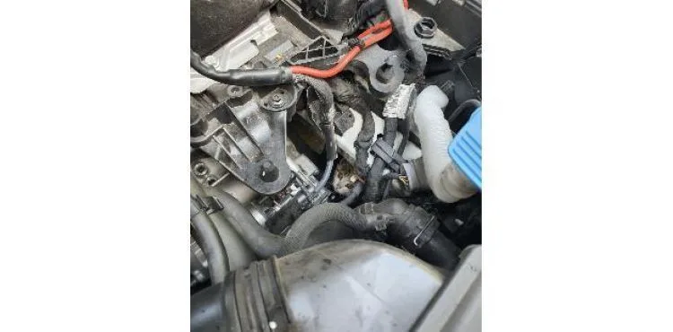 Otomobilin motor kısmına sıkışan yavru kediyi itfaiye kurtardı.
