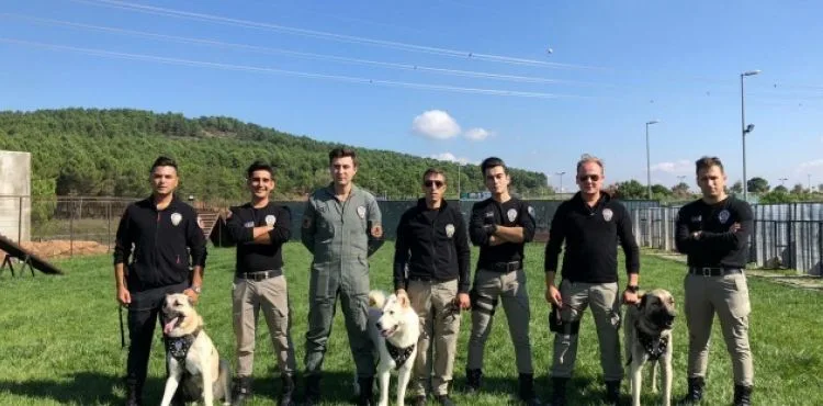 İstanbul Emniyeti'nin özel köpeklerinin zorlu eğitimi görüntülendi