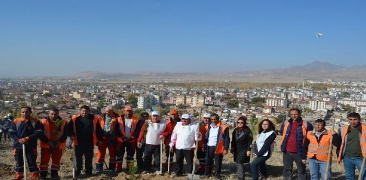 Develi'de 20 bin fidan toprakla buluştu.