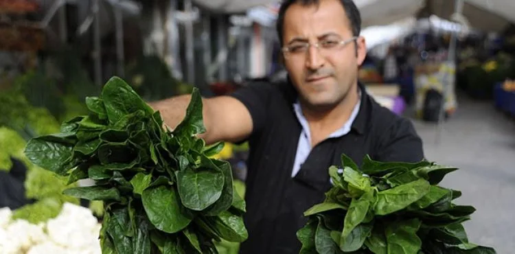 Fiyatlar düşünce ıspanak satışları arttı