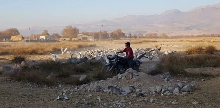 13 yıldır kurulan dostluk görenleri şaşırtıyor