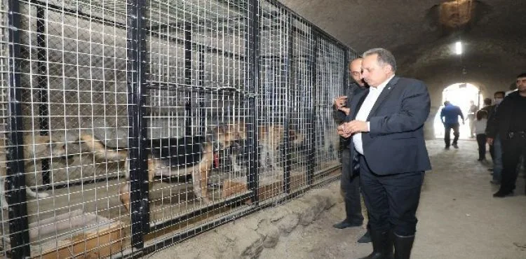Başkan Yalçın sevimli dostlarla