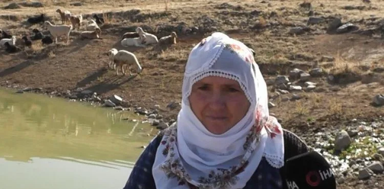 Köylüler, Ayvazhacı'daki gölde hobi amaçlı balık besliyor