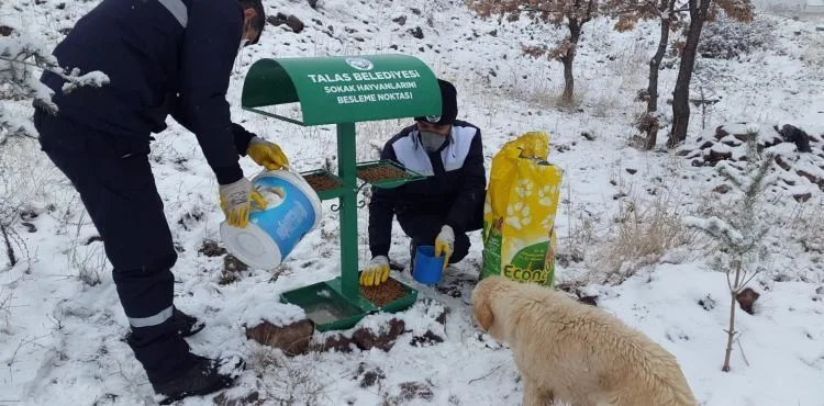 YERLEŞİM ALANLARINA İNMESİNLER DİYE