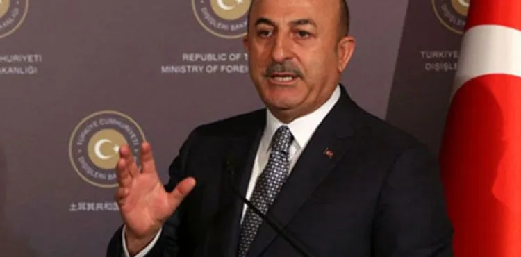 Bakan Çavuşoğlu'ndan Türk bayrağı yırtan Yunan vekile tepki