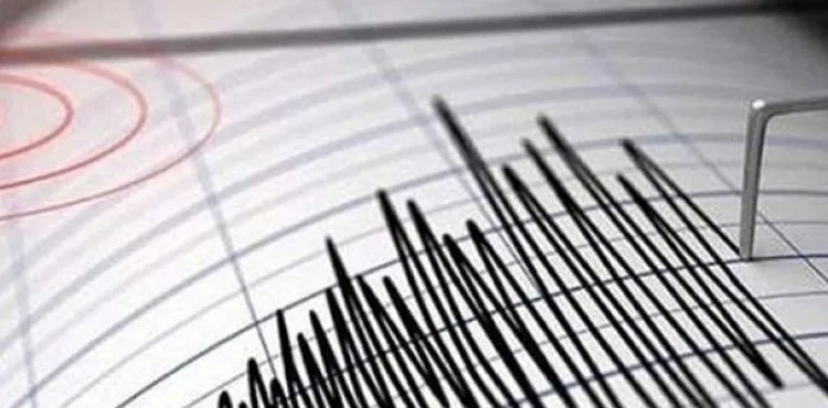 Van, 2 dakika arayla meydana gelen depremlerle sarsıldı